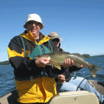 Walleye caught with Signature Fishing Rods