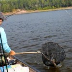 Man catching fish in a net