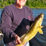 Walleye caught with Signature Fishing Rods
