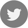 Twitter Logo