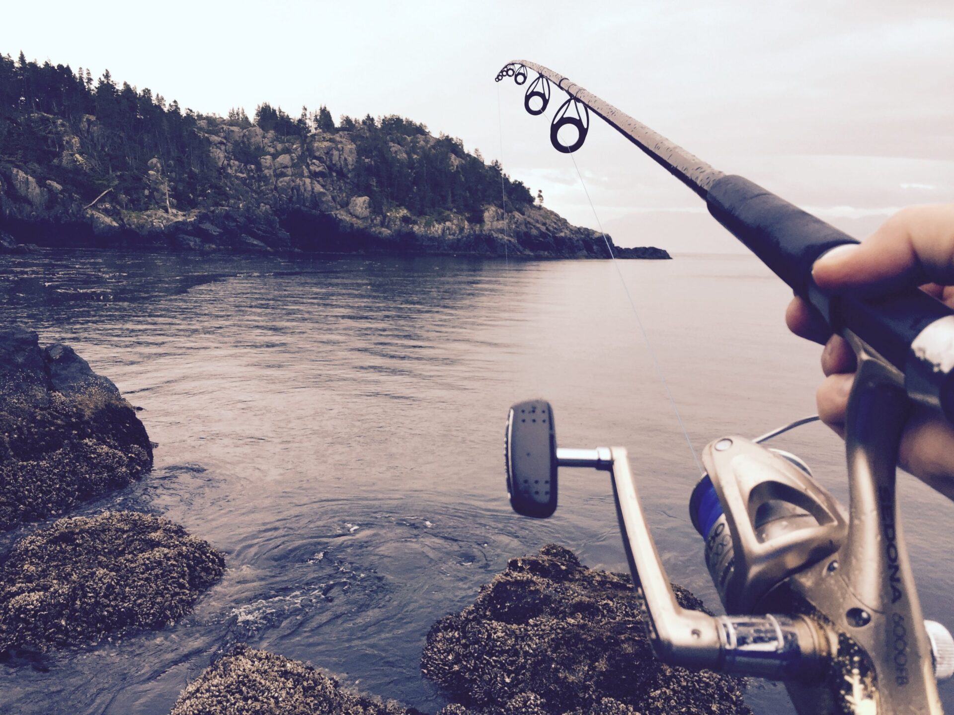 Fishing Rod Blanks