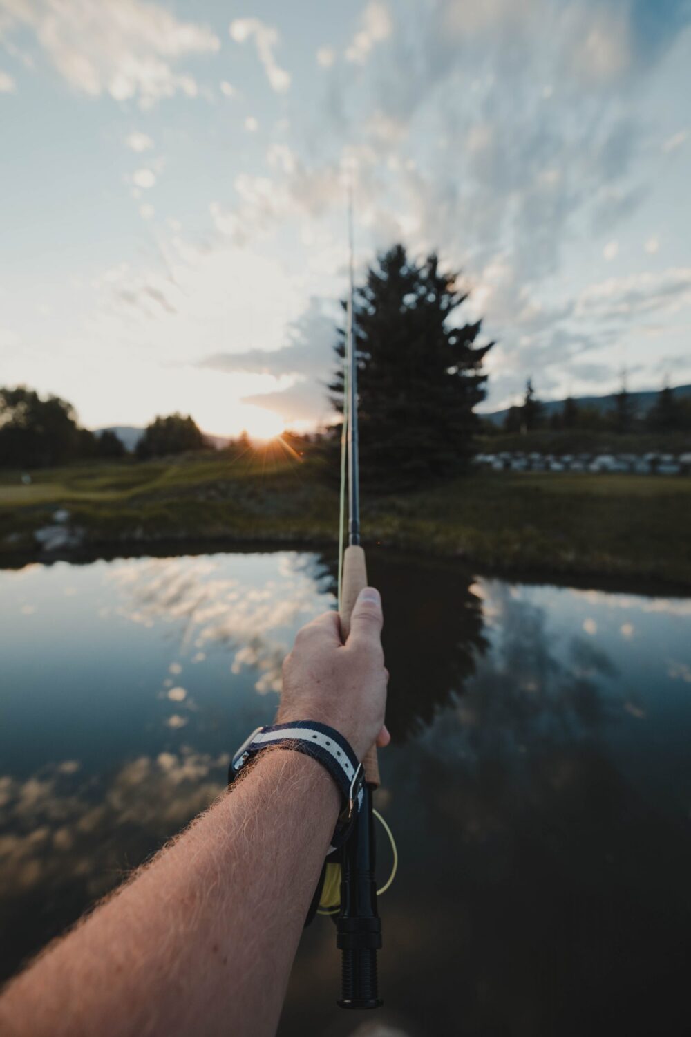 Tips for Buying a Used Fishing Rod