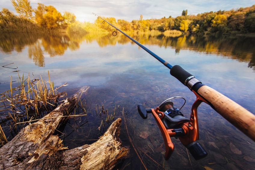 What Fishing Rod is Best for You?