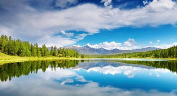 A beautiful lake surrounded by trees