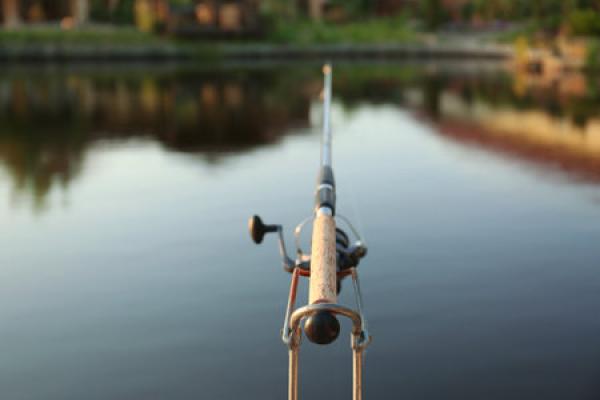 A fishing rod cast out into a lake